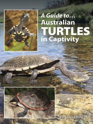 cover image of A Guide to Australian Turtles in Captivity
